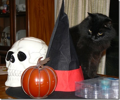 Gracie with Skully