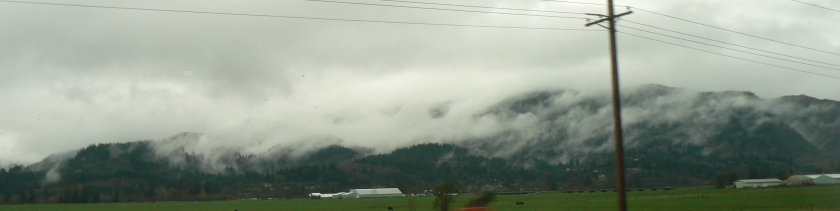 cloudy hills