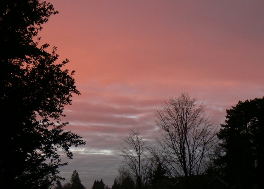 twilight sky
