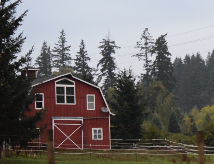 Red barn with horse5