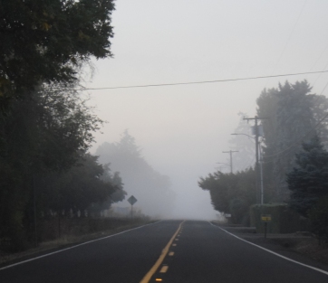 Wall of fog 10-7-14