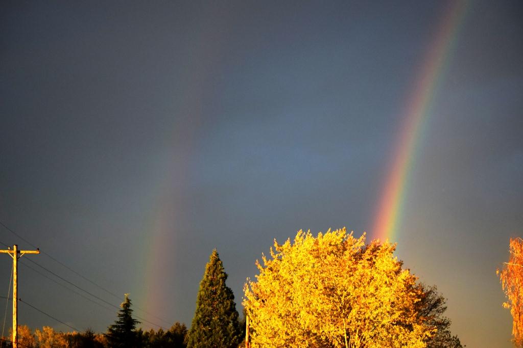 Nov 6 double rainbow
