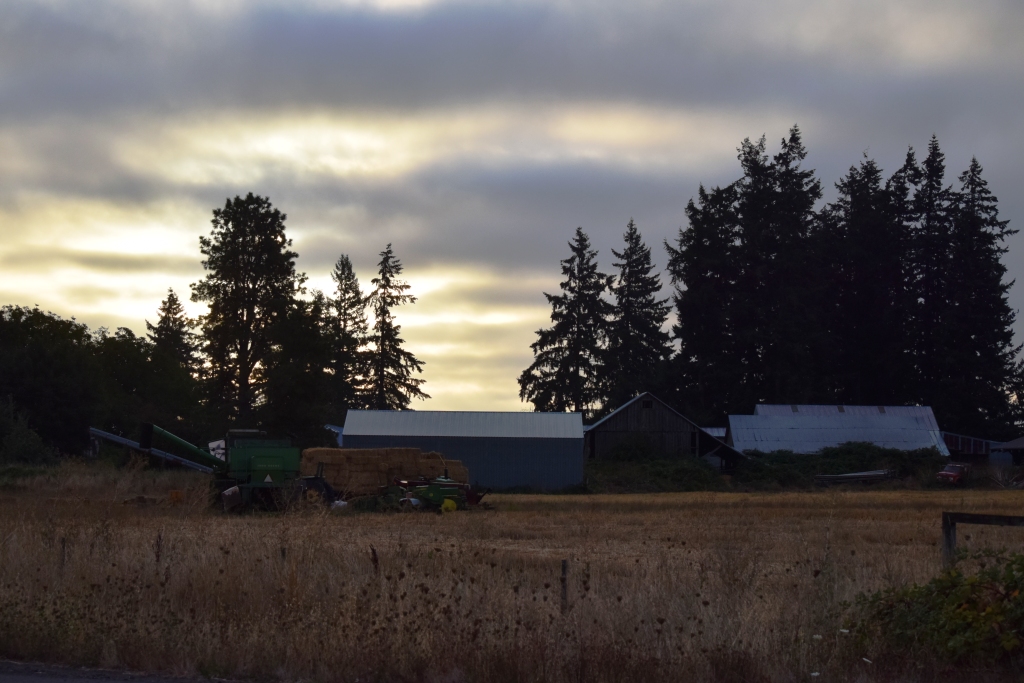 9-09-16-morning-farm